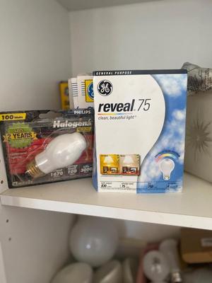 HUGE ASSORTMENT OF LIGHT BULBS! A MUST HAVE FOR ANY HOUSEHOLD