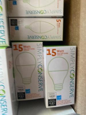 BIG ARRAY OF SPECIALTY LIGHT BULBS