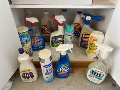 HOUSEHOLD CLEANERS