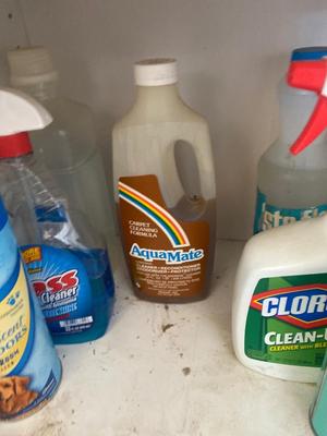 HOUSEHOLD CLEANERS