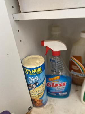 HOUSEHOLD CLEANERS