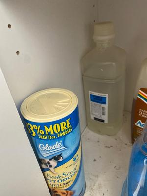 HOUSEHOLD CLEANERS