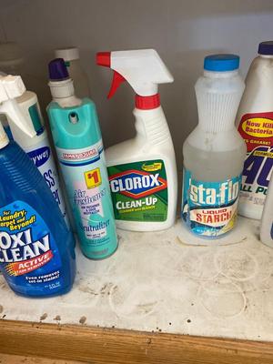 HOUSEHOLD CLEANERS