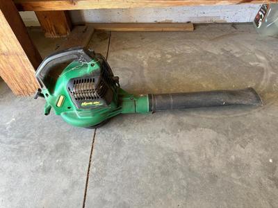 ELECTRIC LEAF BLOWER AND HEDGE TRIMMERS