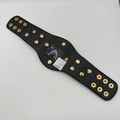 LOT 156J: 2001 Officially Licensed World Wrestling Federation WWF Mini Championship Belt w/ WWF Attitude Sleeve