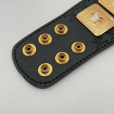 LOT 156J: 2001 Officially Licensed World Wrestling Federation WWF Mini Championship Belt w/ WWF Attitude Sleeve