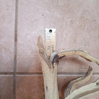 LOT 11B: Signed Gina Arrighetti Gold Inlay Southwestern Vase w/ Charles Fotch Signed Vase