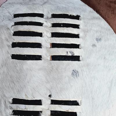 LOT 25A: Pair of Small Xhosa / Zulu Decorative Shields