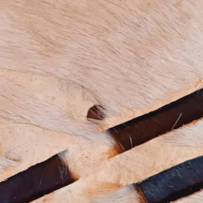 LOT 25A: Pair of Small Xhosa / Zulu Decorative Shields