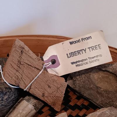 LOT 34A: An Assortment of Rocks and Fossils with Woven Flat Basket