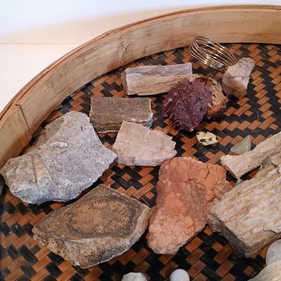 LOT 34A: An Assortment of Rocks and Fossils with Woven Flat Basket