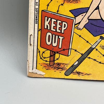 LOT 49B: Vintage Comics - Archie and More