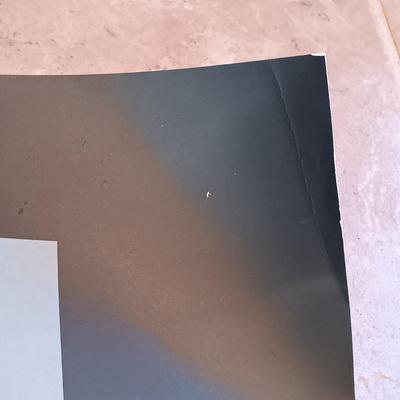 LOT 132A: Todd Goldman 'Rock is Dead' Signed Gallery Print