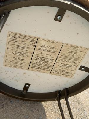 LOT 313A: Vintage Phil Prentice Lion Print & Small Metal Frame Chair