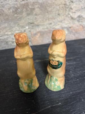 Cats, Ducks and Prairie Dogs - Rosemeade