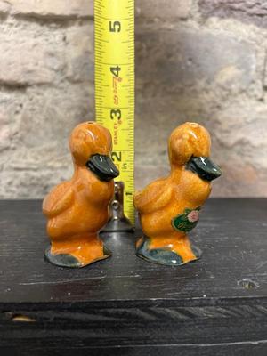 Cats, Ducks and Prairie Dogs - Rosemeade