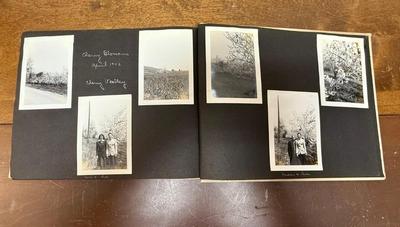 Lot of 3 old photo albums - family pictures including work trips and vacations in many parts of California