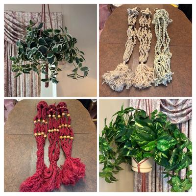 LOT 155: Macramé Plant Hanger & Fauz Plants