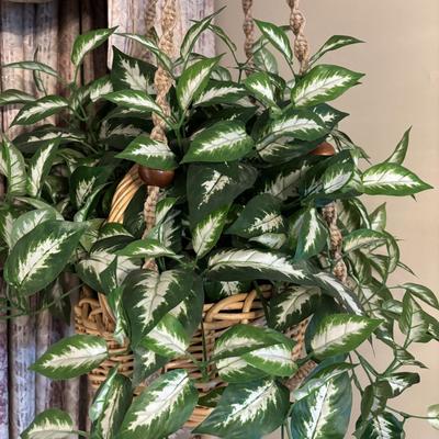 LOT 155: Macramé Plant Hanger & Fauz Plants