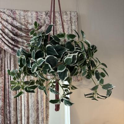 LOT 155: Macramé Plant Hanger & Fauz Plants