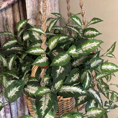 LOT 155: Macramé Plant Hanger & Fauz Plants