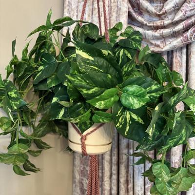 LOT 155: Macramé Plant Hanger & Fauz Plants