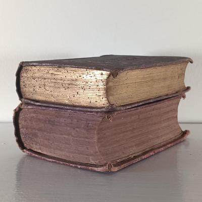 LOT 41L: Antique Miniature Books of Poetry 1875-1904