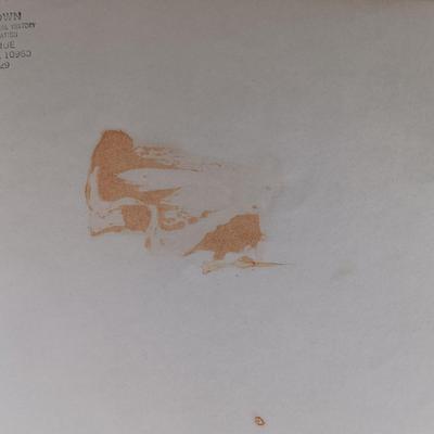 LOT 43L: Sinking of the Titanic and Great Sea Disasters 1912, The Story of the Panama Canal 1913 & Hudson River Sloops 1970