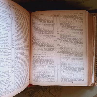 LOT 50L: 19th Century Illustrated Ornate Leather-Bound Bible 1882