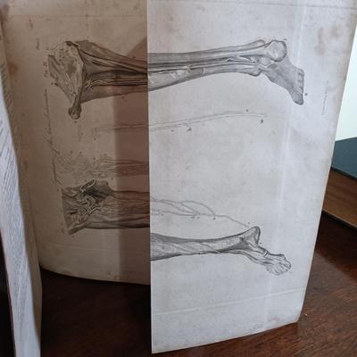 LOT 62L: Parr's Illustrated Medical Dictionary 1819 Vol. I and II w/ Anders' Practice of Medicine 1909