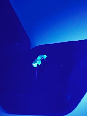 LOT 240J: Vintage 14K Gold Uranium Glass Size 6 Ring - 2.3 gtw