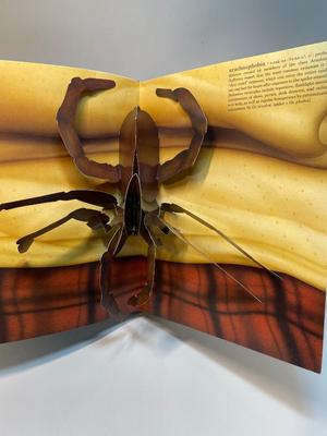 The Pop-Up Book of Phobias - First Edition, 1999
