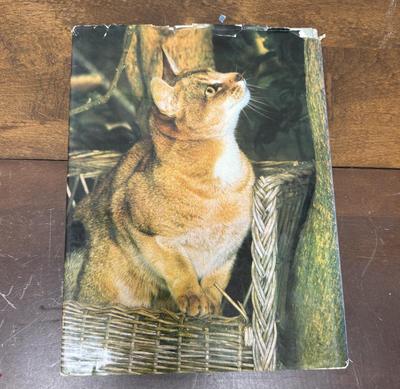 The Love of Cats by Christine Metcalf Cat Lover Coffee Table Book 1973