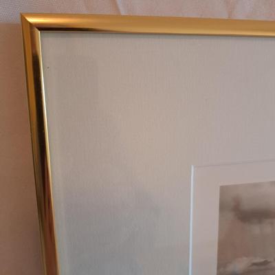 ‘Contemplation’ Pencil Signed & Numbered Framed Photograph (UL-SD)