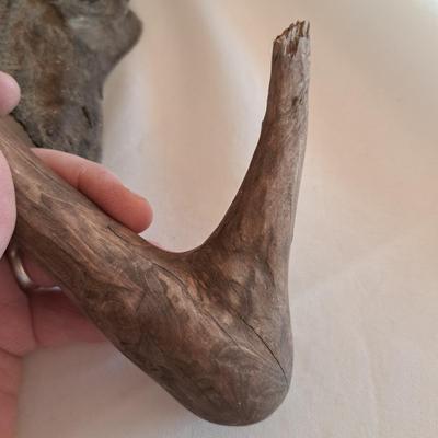 Hand-Carved Signed Roothead Shorebird & Preening Swan (UL-SD)