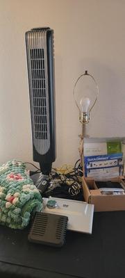 Holmes fan, rug, DVD player