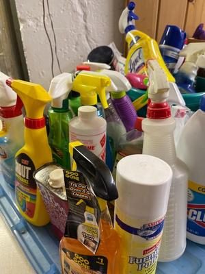 Large group of cleaners