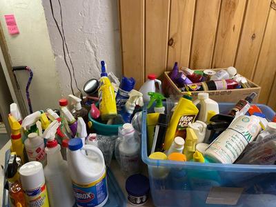 Large group of cleaners