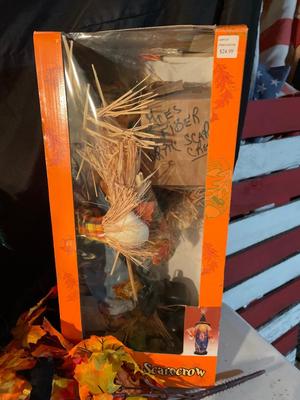 Halloween & Fall decor