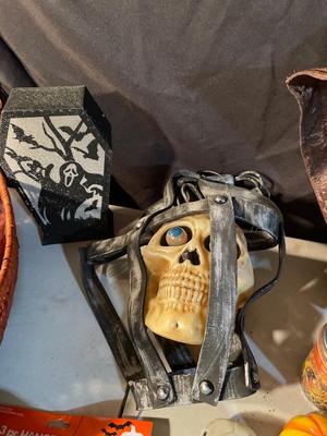 Halloween & Fall decor