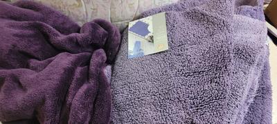 Queen comforter set, rugs, blanket