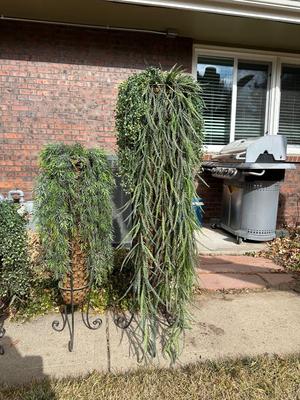 FLOWING FAUX PLANTS IN WEAVED WICKER AND IRON HOLDERS