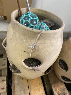 Two Strawberry Planters