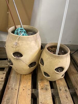 Two Strawberry Planters
