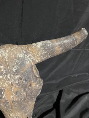 Concrete Bull Head - very cool