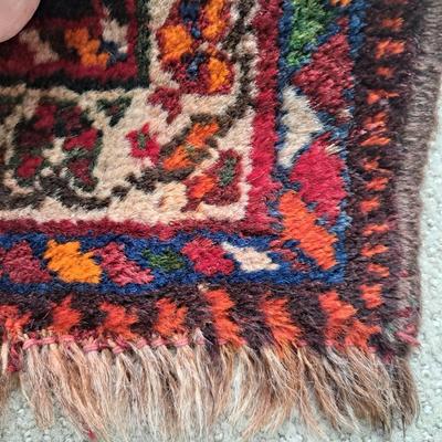 Hand-Knotted Persian Shiraz Rug 4' x 5.5' (PB-ES)