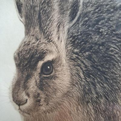 Signed 1948 Kurt Meyer-Eberhardt Etching/Print "Hare" (FE-SD)