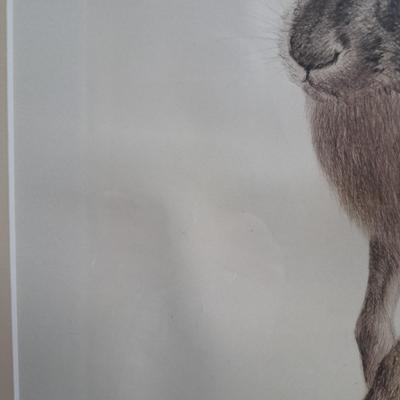 Signed 1948 Kurt Meyer-Eberhardt Etching/Print "Hare" (FE-SD)