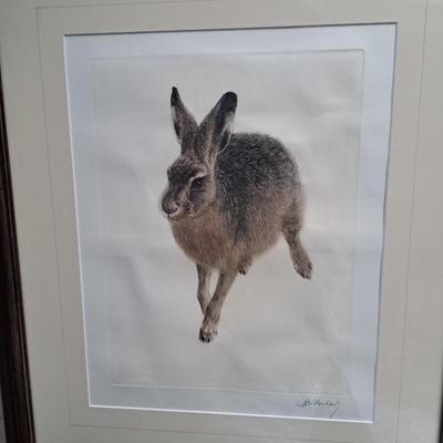 Signed 1948 Kurt Meyer-Eberhardt Etching/Print "Hare" (FE-SD)