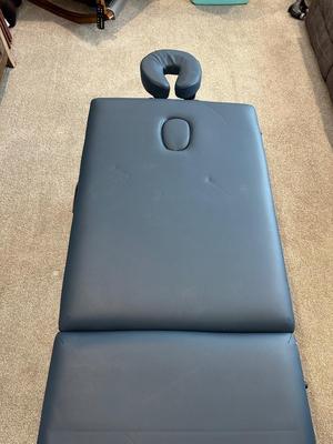 SALONITURE PORTABLE MASSAGE TABLE WITH NYLON CARRY CASE